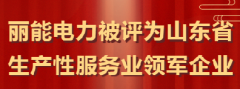 Good News! Lineng Electric Named Shandong Provincial Leading