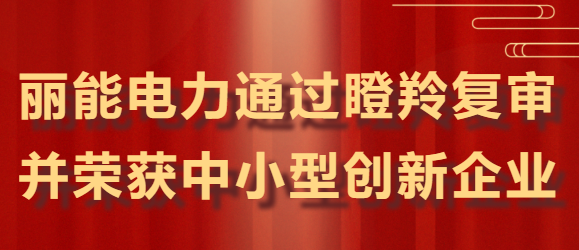 Good News | Lineng Electric Awarded Two Provincial Honors Su